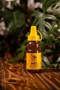 Emporio do Mel Mel - Néctar Campestre - Bisnaga 210G - imagem 3