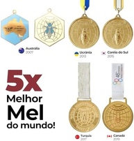 Mel com Açaí e Banana Gold Medal Honey | Mel puro 100% Natural e Saudável | Perfeito para Lanches e Sobremesas | Sem Açúcares ou Aditivos | Sabor Autêntico e Nutritivo | 250g - imagem 4