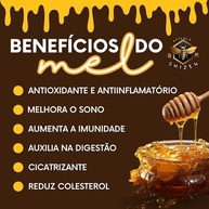 Apícola Shizen | Mel de 1,05 Kg | Mel Premium Silvestre 100% Puro Natural, Saudável e Rico em Nutrientes, Embalagem Econômica com Lacre Seguro - imagem 3