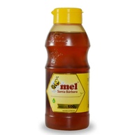 mel-silvestre-puro-500g-sabor-saude