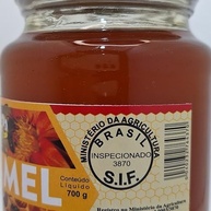 Mel Puro de Abelha - Florada Silvestre Natural Sul de Minas 700g - imagem 2
