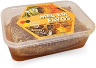 Favo de mel Natural - Florada Silvestre Sul de Minas Bandeja 500g - imagem 4