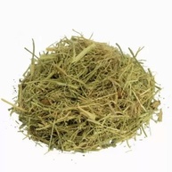 Melão de São Caetano 500Gr (Ervas e Talos) - imagem 2