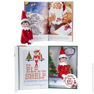 Elfo na Prateleira Menina Luz - Boneca Encantadora com Livro e Certificado de Adoção - imagem 2