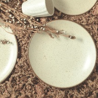 Pratos Rasos Coup Vanilla: Elegância à Mesa - imagem 2