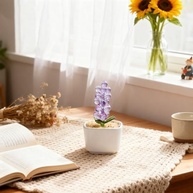 Jacinto de Vidro Decorativo em Vaso de Cerâmica Branco - Ornam. Mesa Moderno 7,6cm - imagem 3