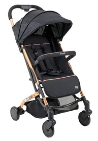 metal-zap-a-carrinho-para-passeios-seguranca-burigotto-bebe-conforto-de-inesqueciveis-e-a