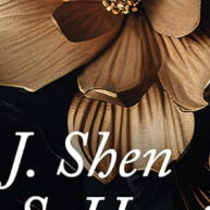 meu-romeu-sombrio-romance-intenso-e-suspense-que-vai-te-prender
