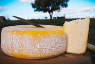 Queijo Minas Artesanal Meia Cura, 20 dias de Maturação, Semi-Duro, Produzido na região da Serra da Canastra - 1kg - imagem 1