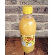Manteiga de Leite Do Sertão, A Campeã, Artesanal Mineira, 840ml - imagem 2