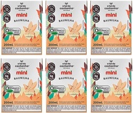 Kit 6X: Leite Vegetal Mini Baunilha Orgânico A Tal da Castanha 200ml - imagem 1