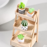 Enfeite de Vaso Cacto 4 Peças - Mini Estátuas Decorativas para Casa e Jardim - imagem 3