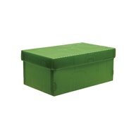 Mini Caixa Organizadora de Sapatos Verde Dello - imagem 1