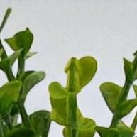 Mini Vasinho Decorativo de Cerâmica Metalizada – Dourado, Rosê ou Prata - imagem 1