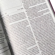 Bíblia 365 NAA Letra Grande Rosa: Leitura Diária em 15 Minutos - imagem 2