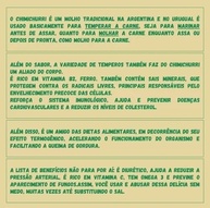 Tempero Chimichurri Natural - Mistura de Ervas e Especiarias, 300g - imagem 3