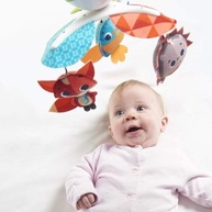 mobile-carrinho-days-tiny-love-para-meadow-e-a-desenvolvimento-diversao-e-no-bebes-berco-a