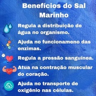 Sal Marinho Integral Zero Iodo 3kg Salinas Mossoró Moído - imagem 4