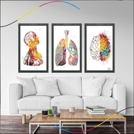 Quadro Decorativo Anatomia Humana - Moldura Elegante para Consultórios e Ambientes Médicos - imagem 1