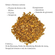 Tia Sônia, Kit 3 Granolas Paçoca Pé de Moleque e Pasta de Amendoim 120g cada Tia Sônia - imagem 9