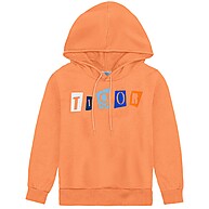 Moletom Infantil Menino Tigor: Conforto e Estilo! - imagem 1