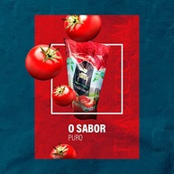 Molho de Tomate Tradicional | Produto Orgânico | Molho Pronto | Bendita Roça - imagem 5