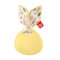 Mordedor Coelho Fisher-Price: Alívio e Diversão! - imagem 1