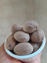 Noz Moscada Bola Natural do Norte de Minas Gerais 5 Unidades - imagem 4