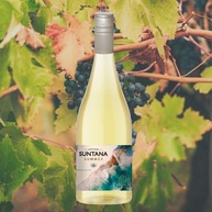 Vinho Chileno Suntana Summer Moscato Branco 750ml - imagem 4