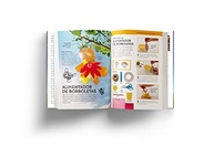 Manual do Mundo: Experimentos Incríveis ao Ar Livre para Jovens Cientistas - imagem 3