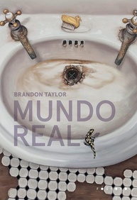 Mundo Real: Um Romance Poderoso sobre Identidade e Luto - imagem 1
