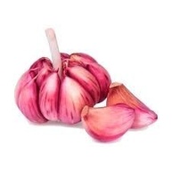 Alho Roxo N"8 Nacional Graudo 500g - imagem 4