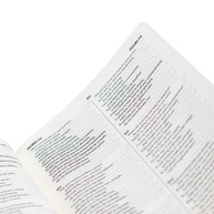 Bíblia Bilíngue: Português/Inglês NAA/ESV - imagem 2