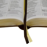 naaesvrvc-espanhol-trilingue-em-e-ingles-profunda-a-portugues-biblia-compreensao-a