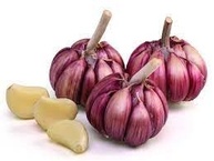 Alho Roxo N"8 Nacional Graudo 500g - imagem 2