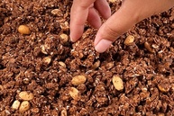Naked Granola - Chocolate Belga e Aveia (250g) - imagem 4