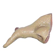 nariz-de-bruxa-halloween-transforme-sua-festa