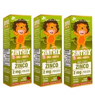 KIT 3X ZINTRIX (Zinco Infantil) 20ml - Flora Nativa Sabor:Morango - imagem 2