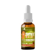 ZINTRIX (Zinco Infantil) 20ml - Flora Nativa Sabor:Morango - imagem 3