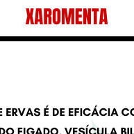 Extrato Sete Ervas: 3x 250ml Naturais! - imagem 2
