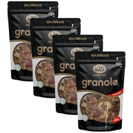 Kit 4 Granola Premium Ws Naturais 500g - imagem 2