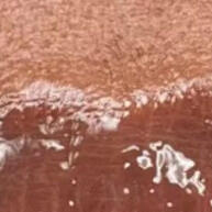 Bálsamo Labial Black Honey: Hidratação e Brilho Natural - imagem 1