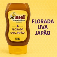 Mel de Uva Japão 300g: Sabor Puro e Natural - imagem 2