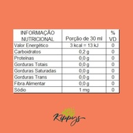 Vinagre de Kombucha Artesanal, hibisco - 300ml | Kippys Natural - imagem 2