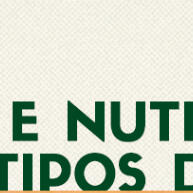 natural-nutricao-e-frutificacao-morango-para-premium-bokashi-adubo