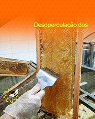 Mel Puro de Abelha Florada Silvestre 100% Natural - Bisnaga 500g - imagem 1