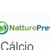 Cálcio de Concha de Ostra 500mg: Fortaleça Seus Ossos Naturalmente - imagem 2