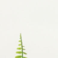 Arranjo de Planta Artificial Folhagem Verde em Vaso Prateado – Decore com Natureza - imagem 2