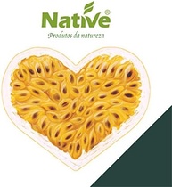 Néctar de Maracujá Orgânico, Native, 1L - imagem 3