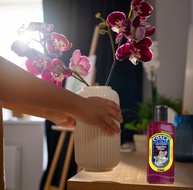 Kit Limpador Perfumado Coala Orquídea Negra 120ml - 2 Unidades com Fragrância Duradoura - imagem 5